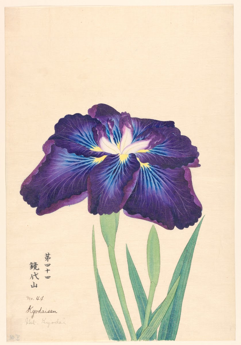 Mt Kyodai Kyodaisan 1910