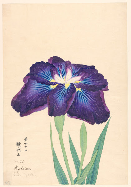 Mt Kyodai Kyodaisan 1910