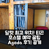 티곤 달랏 호스텔: 달랏 위치 최고! 후기 앤 예약 꿀팁