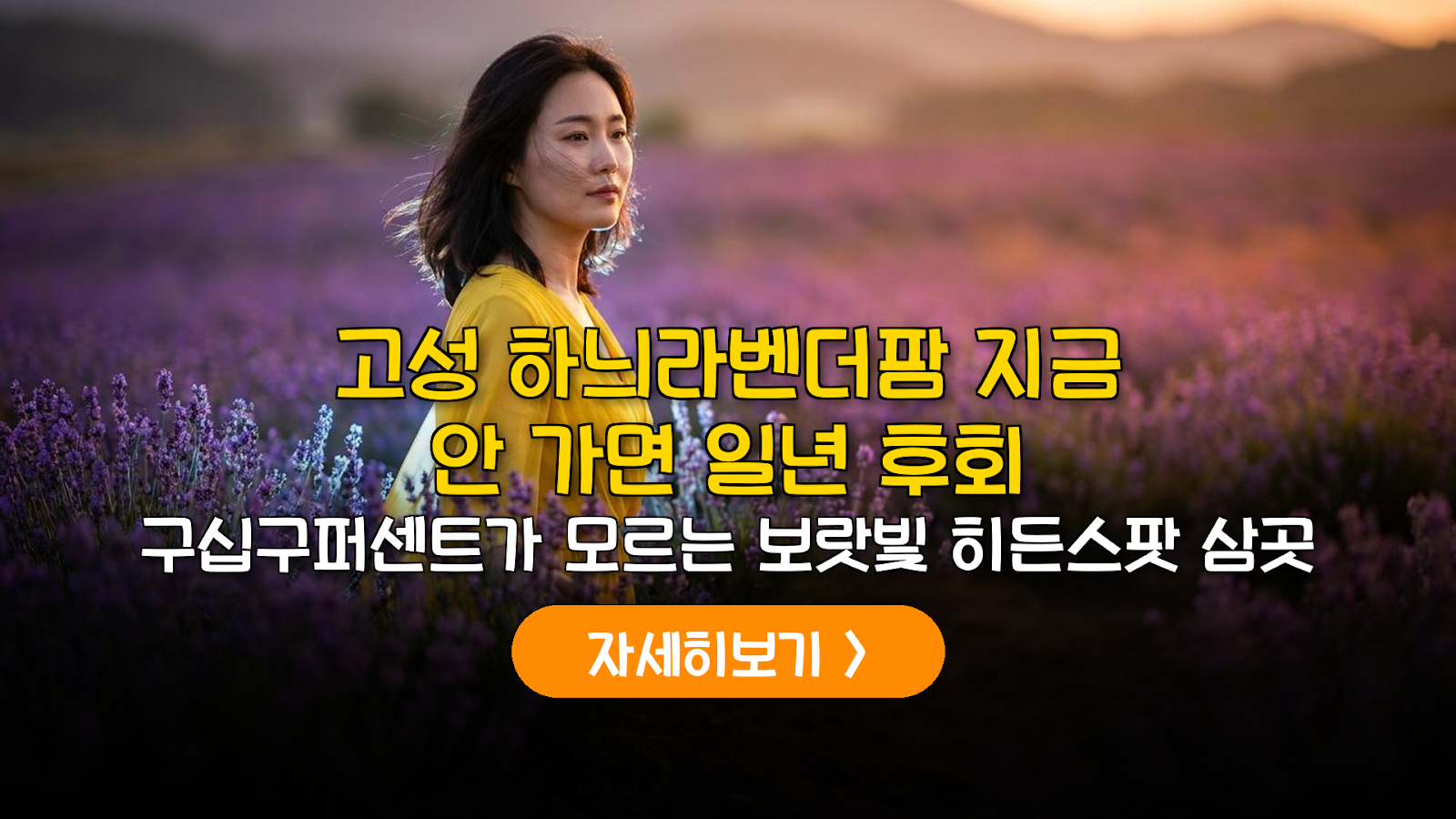 2026 고성 하늬라벤더팜: 개화 시기와 주차 실패 없는 가이드