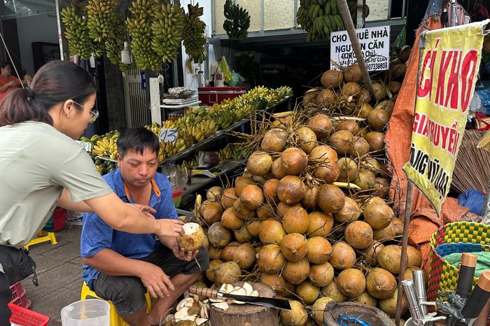 Nắng nóng kéo dài, giá dừa tươi bật tăng - Báo Pháp Luật TP.HCM