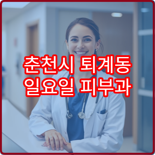 춘천시 퇴계동 일요일 피부과 휴일 진료 병원 안내