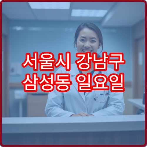 서울시 강남구 삼성동 일요일 이비인후과 귀 코 목 진료