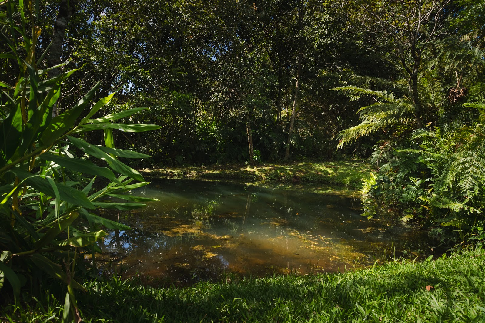 Camping y Pileta Bela Park