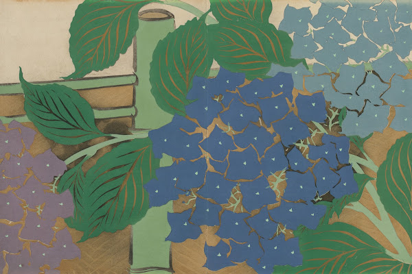 Hydrangea Ajisai 1909 1910