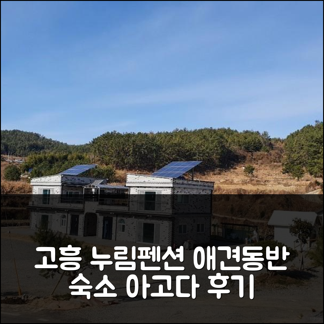 고흥 누림펜션: 남해 꿀팁! 반려동물 동반 숙소 예약 후기 - 아고다 호텔 추천