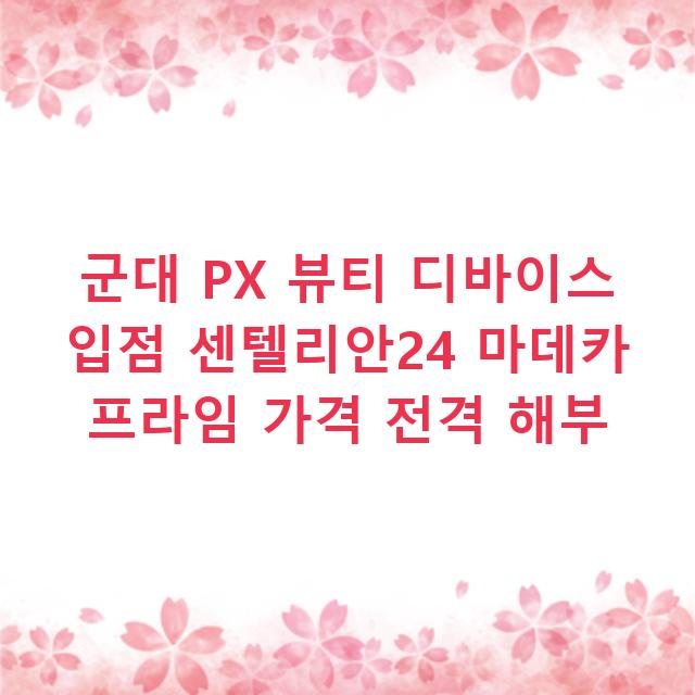 군대 PX 뷰티 디바이스 입점 센텔리안24 마데카 프라임 가격 전격 해부