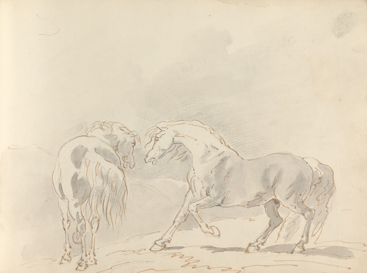 Fourty three Studies of Horses and Riders Pl30 1787