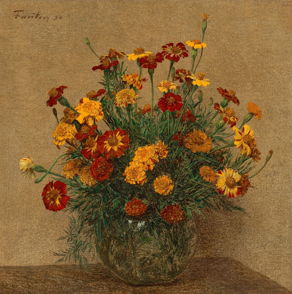 Œillets dInde 1892