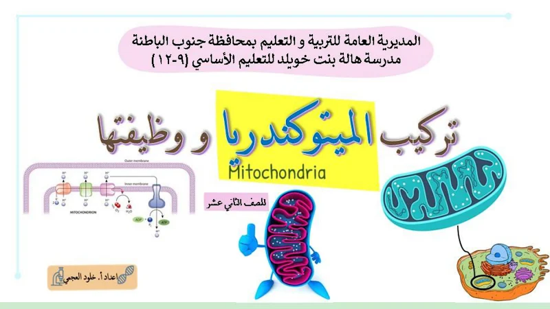 صورة الغلاف