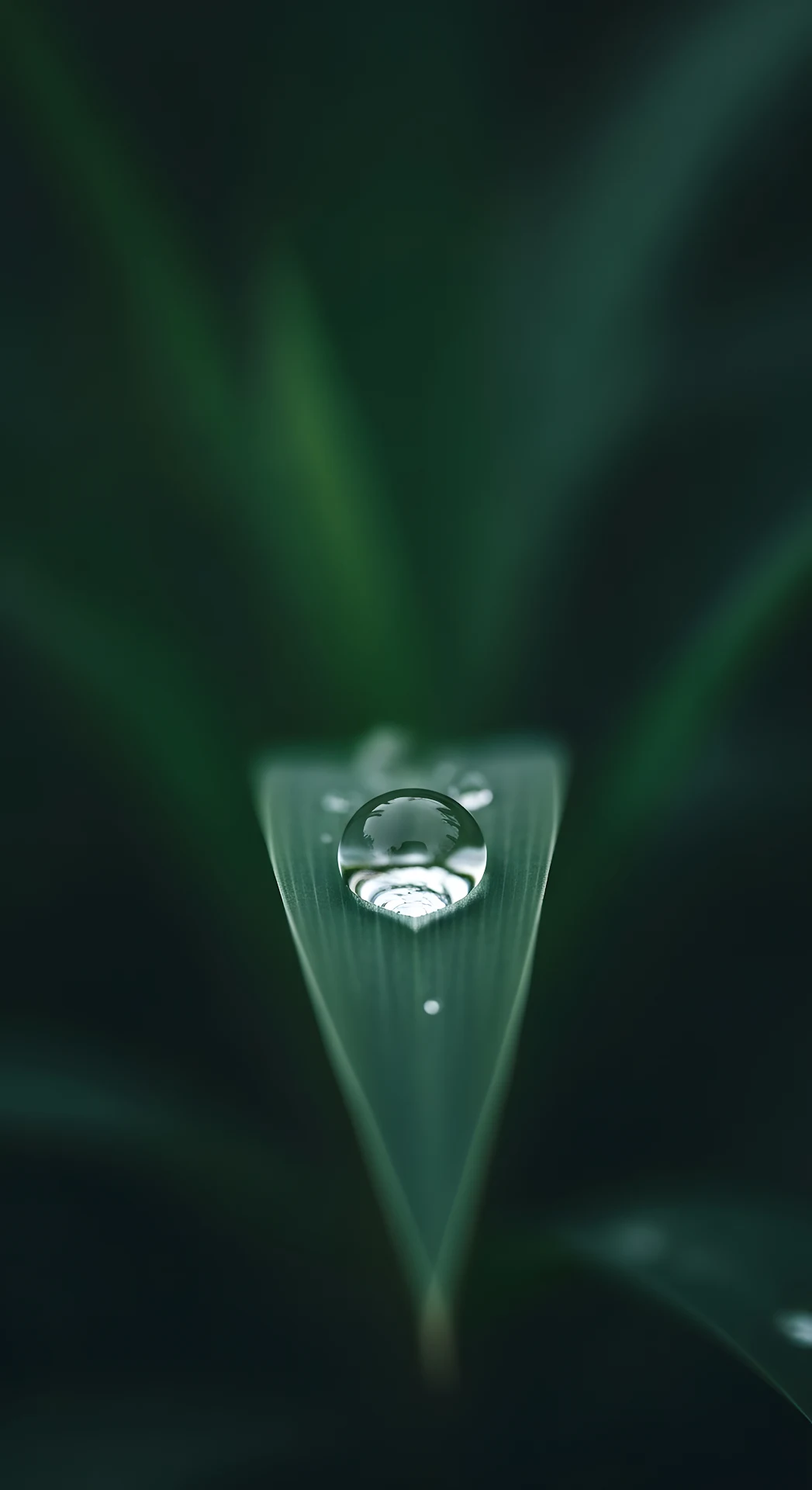Abstract Liquid Gold Ripples - Free 4K mobile Wallpaper