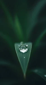 Abstract Liquid Gold Ripples