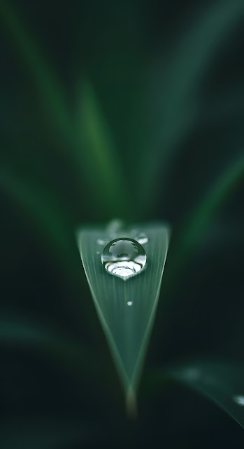 Abstract Liquid Gold Ripples - Free mobile Wallpaper