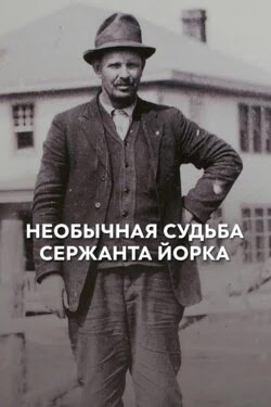 Необычная судьба сержанта Йорка