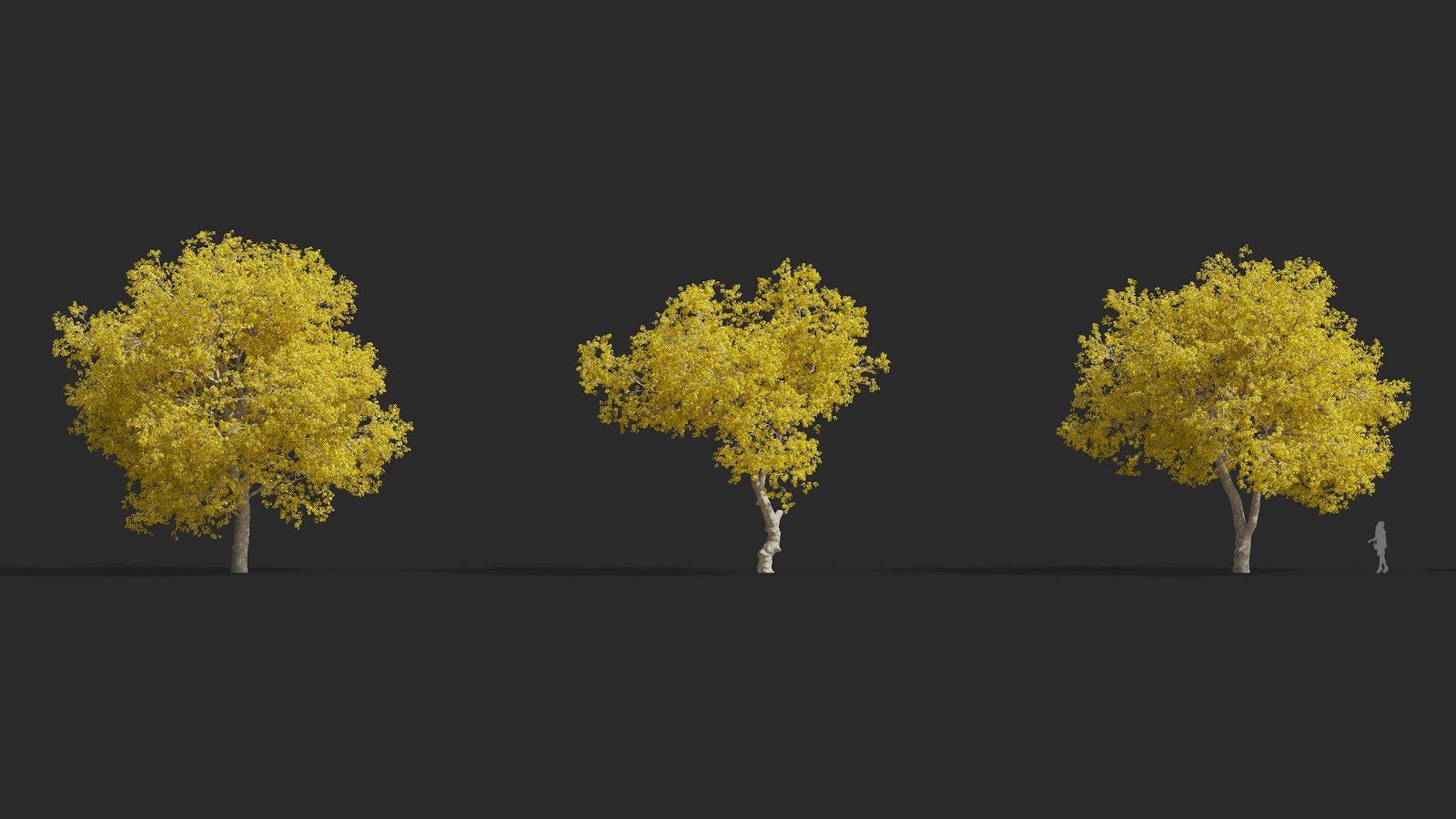 Maxtree - Plant Models Vol.72
