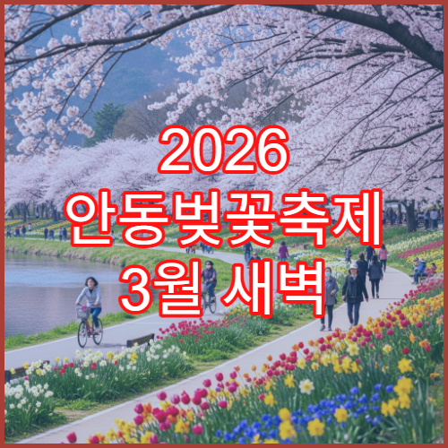 2026 안동벚꽃축제 3월 새벽 방문 조용한 산책 코스 추천