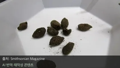 고대 다람쥐 배설물 - 70만 년 전 다람쥐 배설물이 알려준 놀라운 과거 생태계