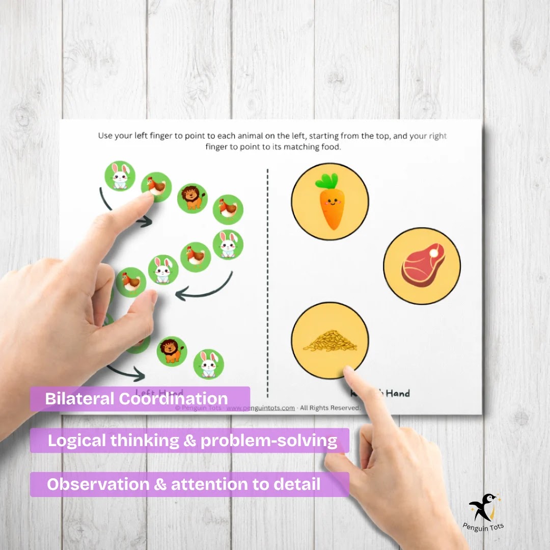 Animal Food Matching Activity | Bilateral Coordination, Visual Association & Logical Thinking