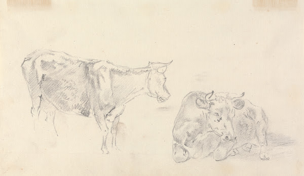 Standing cow facing right and a cow lying down