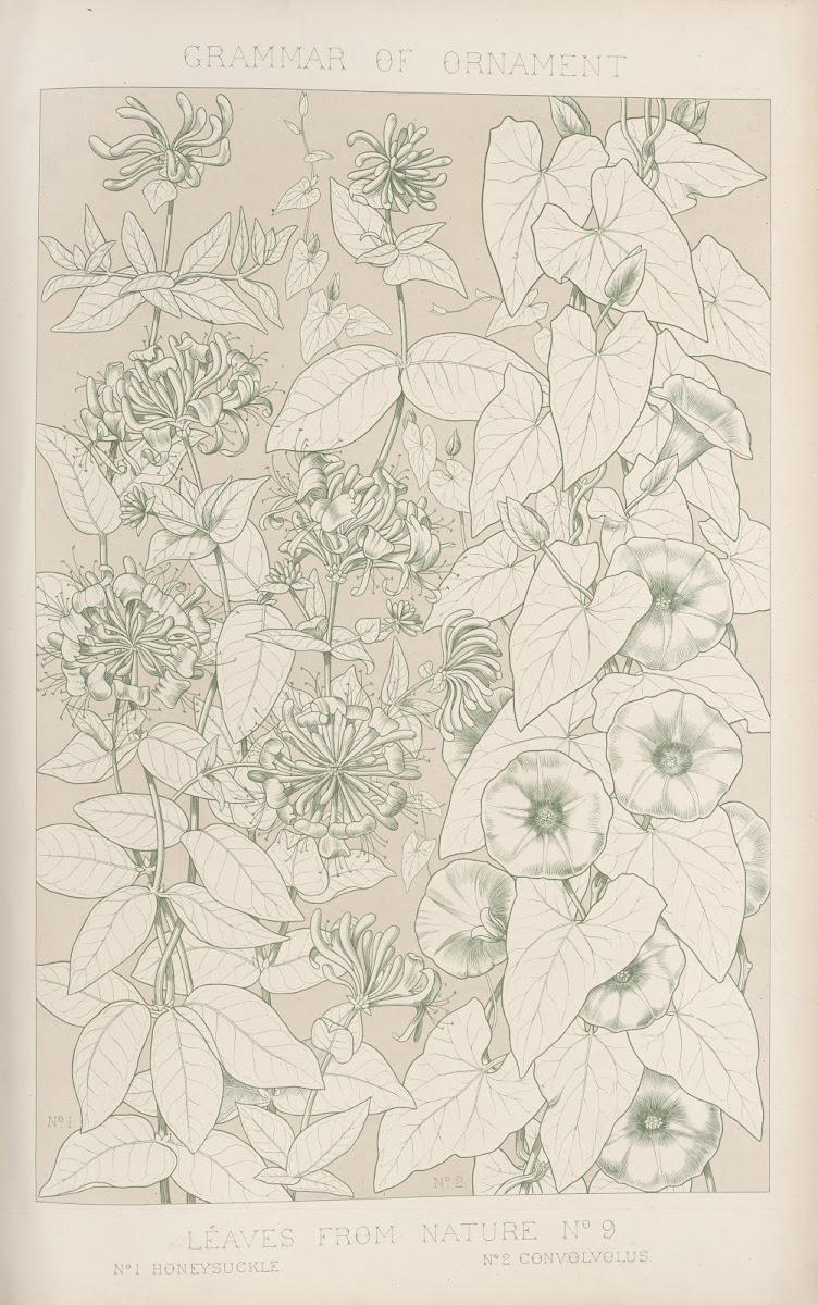 Leaves from Nature No 9 1856