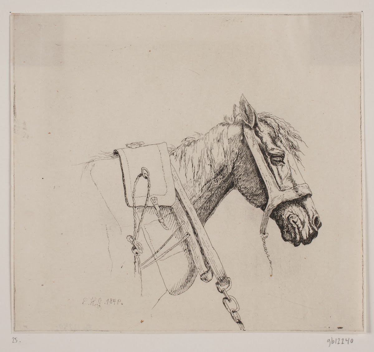 Et hestehoved 1849