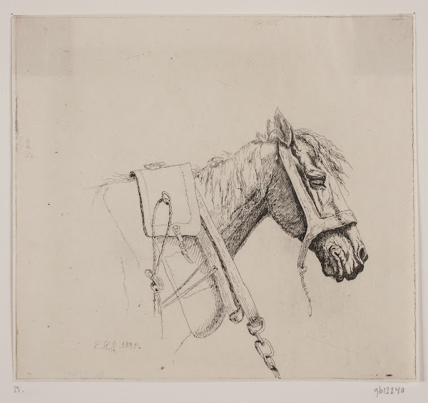 Et hestehoved 1849