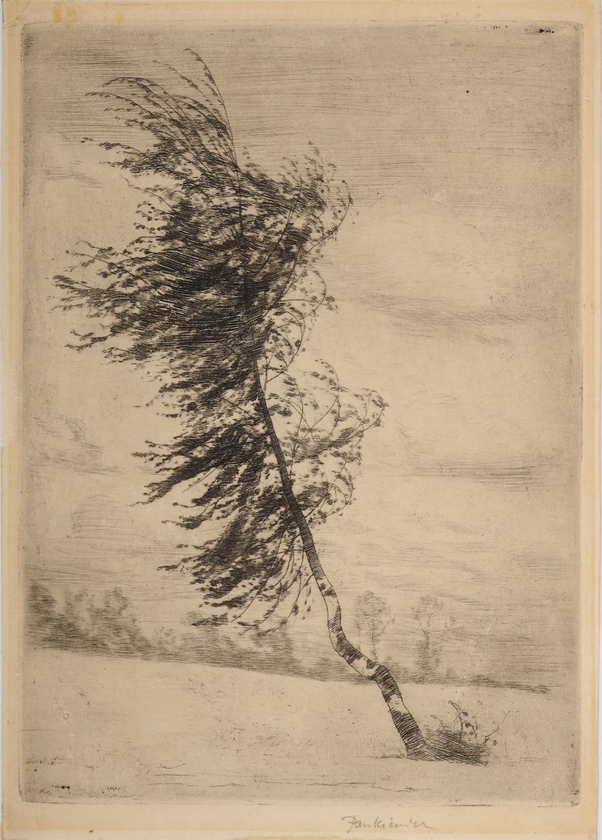 Birch in the wind 1901
