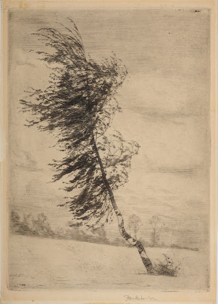 Birch in the wind 1901