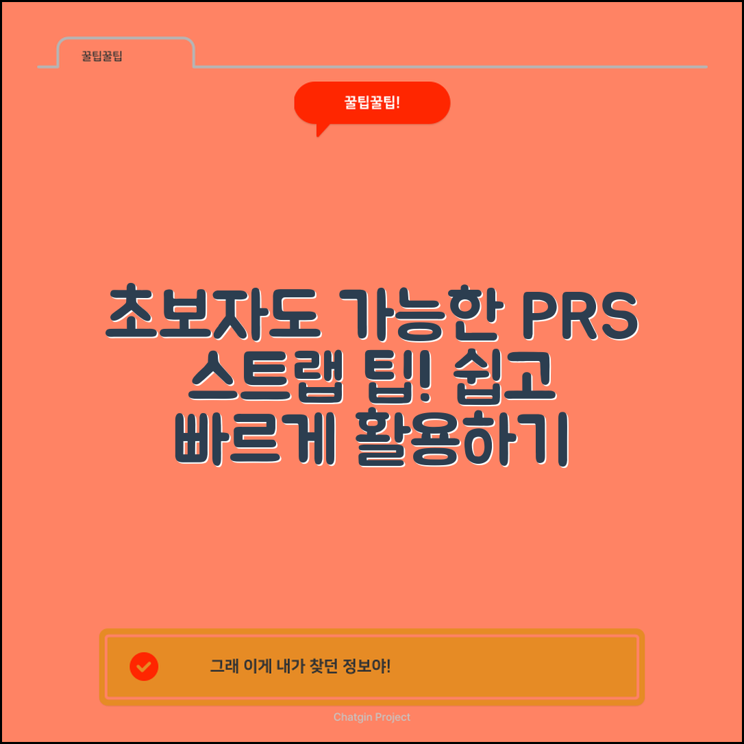 초보자도 쉽게 활용하는 prs스트랩 팁