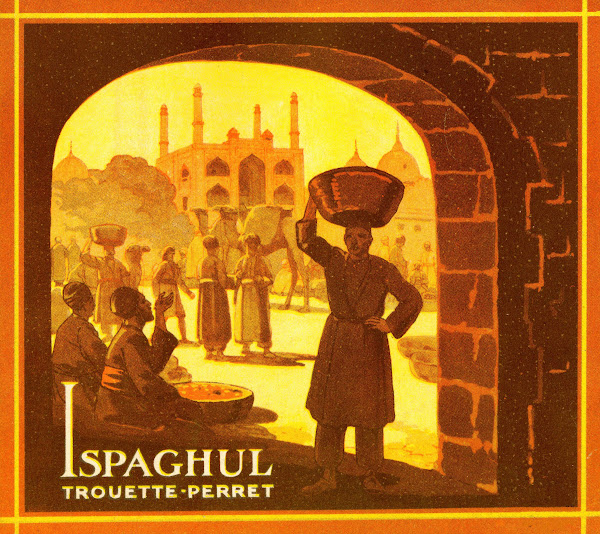 Ispaghul 1910 1950
