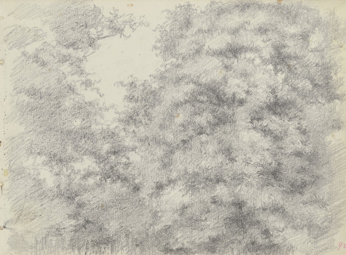 Felling of trees 1868