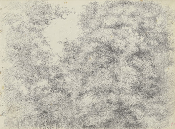 Felling of trees 1868