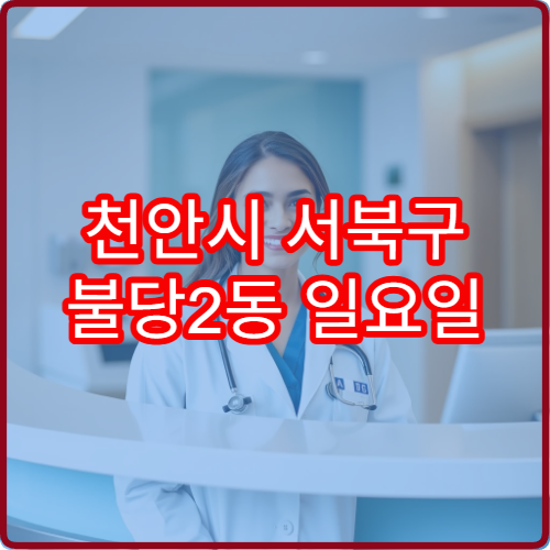 천안시 서북구 불당2동 일요일 비뇨의학과 진료 병원 통증 검사