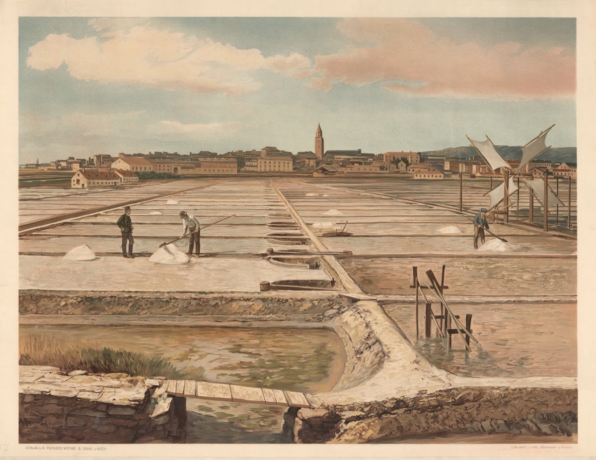 The salt pans at Capo dIstria 1890