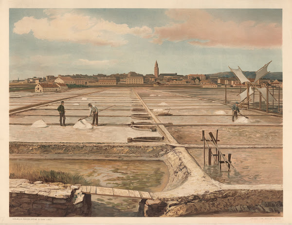 The salt pans at Capo dIstria 1890