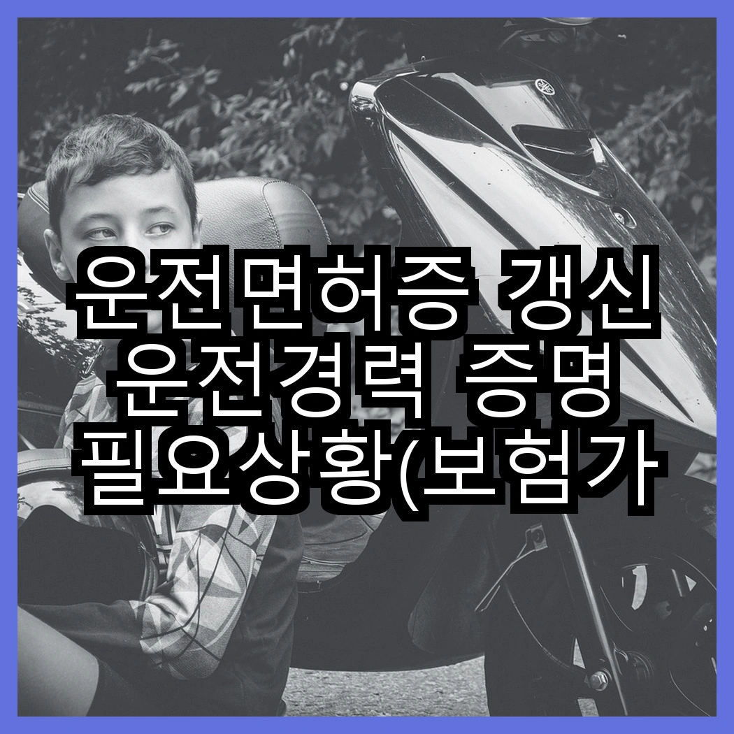 운전면허증 갱신 운전경력 증명 필요상황(보험가입, 자동차등록증) 썸네일