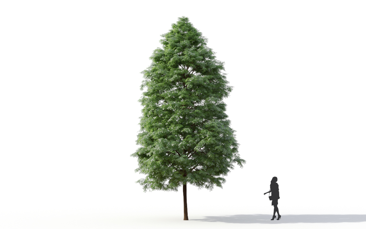 Maxtree - Plant Models Vol.11