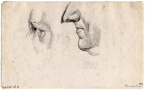 Oog neus en kin v Franciscus Hemsterhuys