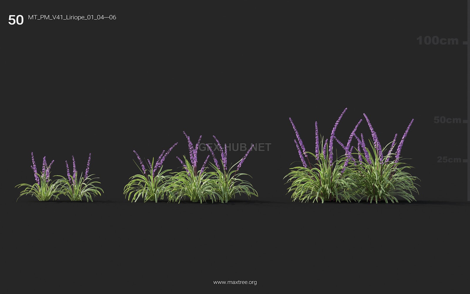 Maxtree - Plant Models Vol.41