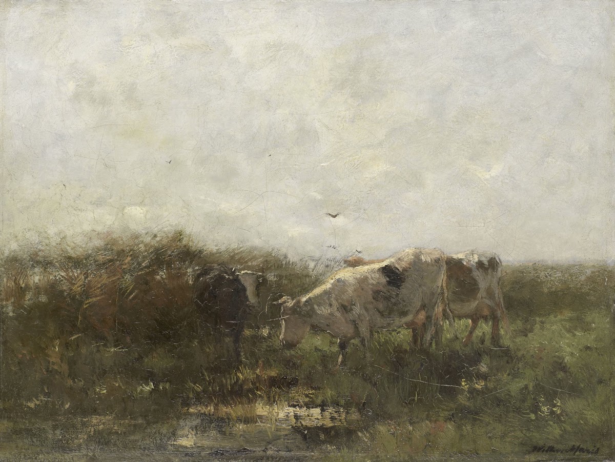 Koeien 1880   1904