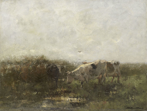 Koeien 1880   1904