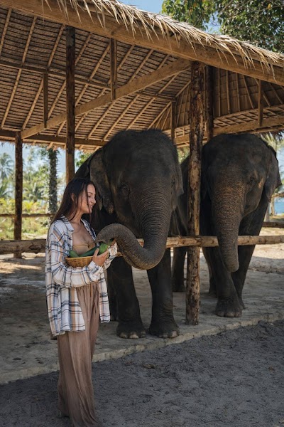 Приватный · ELEPHANT BEACH, SAMET NANGSHE AND MANTRA SPA photo 4