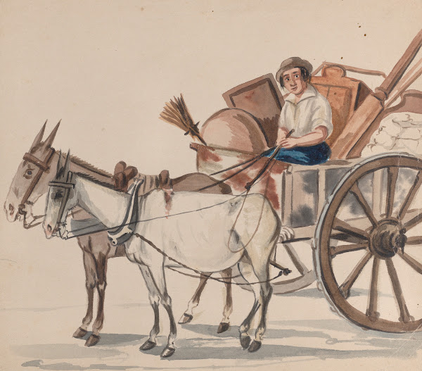 A man driving a cart pulled by mules ca 1848