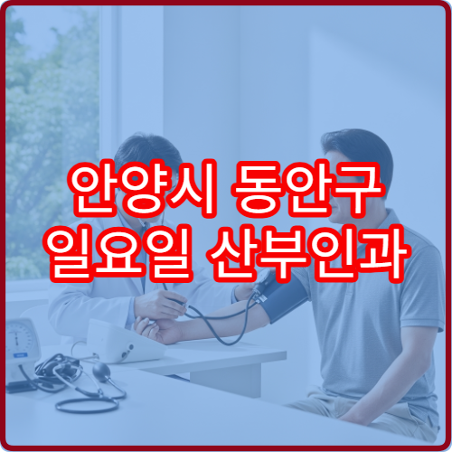 안양시 동안구 일요일 산부인과 진료 병원 복통·출혈 상담 가능