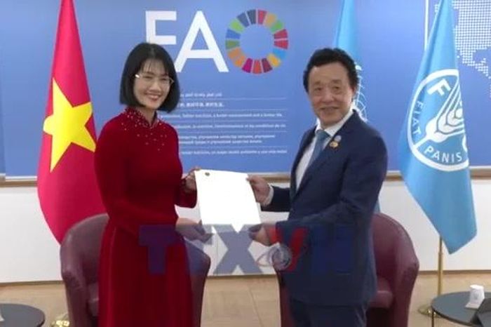FAO luôn coi trọng Việt Nam là đối tác quan trọng trong khu vực - Báo VietnamPlus