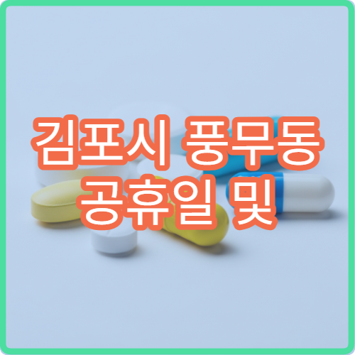김포시 풍무동 공휴일 및 대체 공휴일 당직 진료 병원 찾기