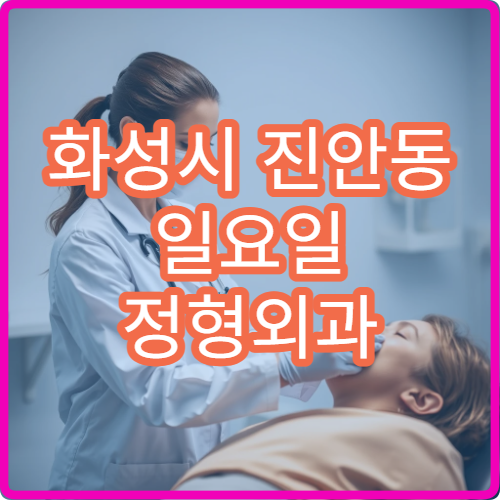 화성시 진안동 일요일 정형외과 병원 안내 주말 정형외과 위치 정보