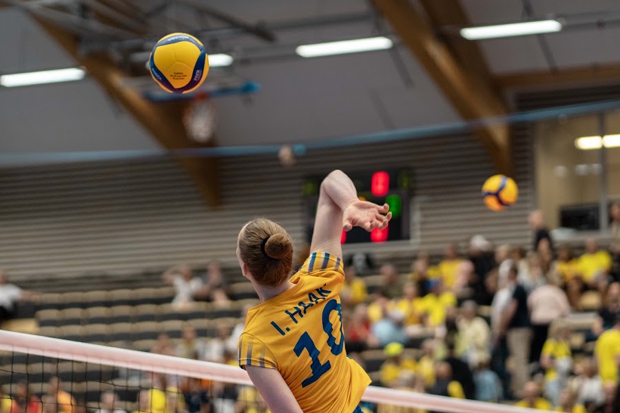 Sweden Slovenia 85