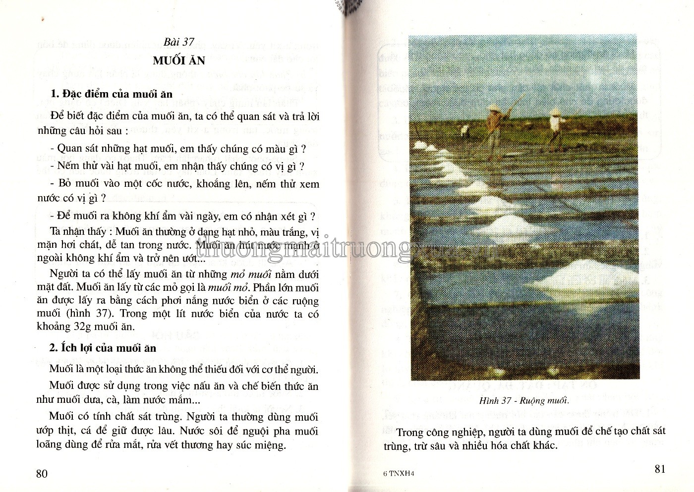 Tự nhiên xã hội 4 (2002) - Trang 32