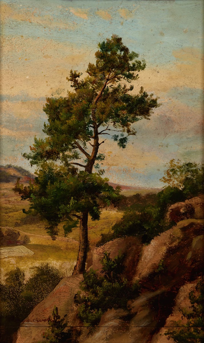 Stone Pine 1870